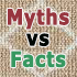 myths and facts about carpet cleaning
