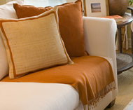 furniture upholstery cleaning service