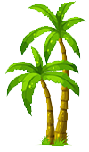San Diego Palm Trees